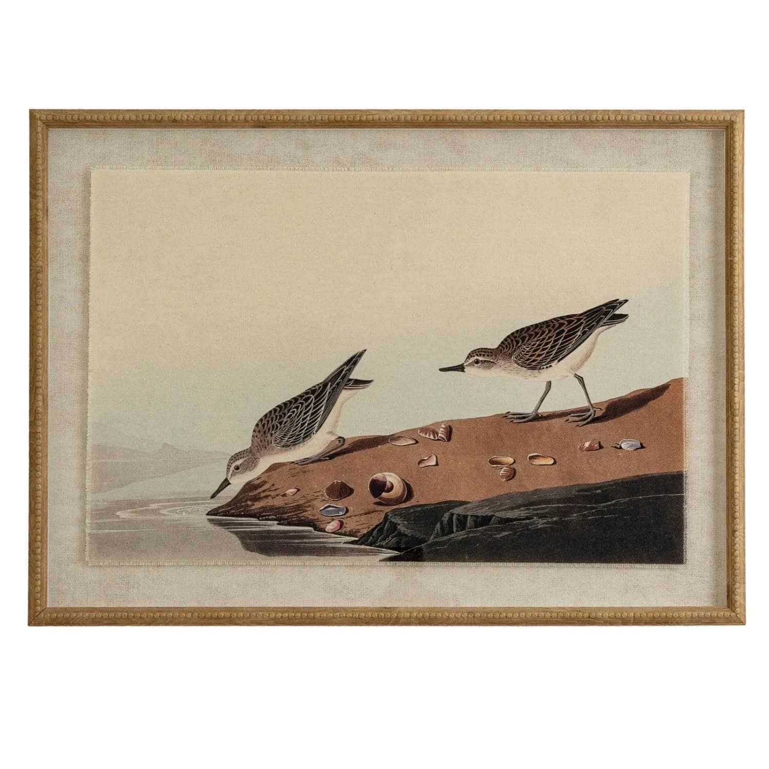 Neutral Ornithological Little Stint Bird Print with Linen Background – Beaded Wooden Frame Framed Wall Art 62x45x2cm